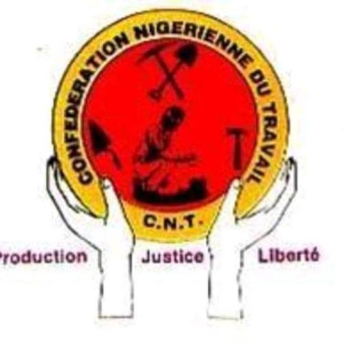CNT-Niger